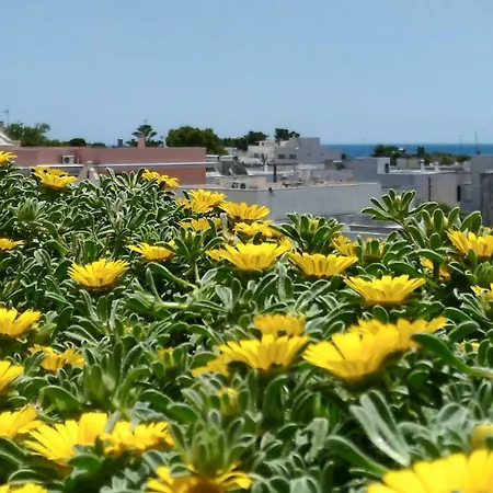 לינה וארוחת בוקר Mareincantato 4*